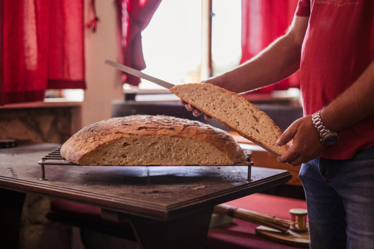 Bed&Breakfast Agroturizam Antunovic Kuna Pelješka Zewnętrze zdjęcie